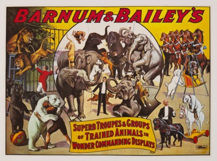 Barnum & Bailey's Superb Troupes & Groups of Trained Animals in Wonder Commanding Displays, Circus Poster, Lithograph, 1906