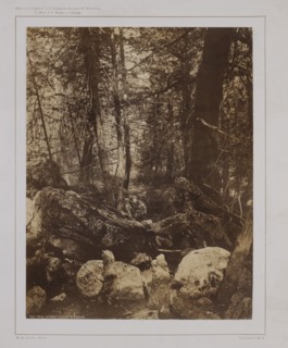 The Trail in West Gallatin Canon, William Henry Jackson, 1871