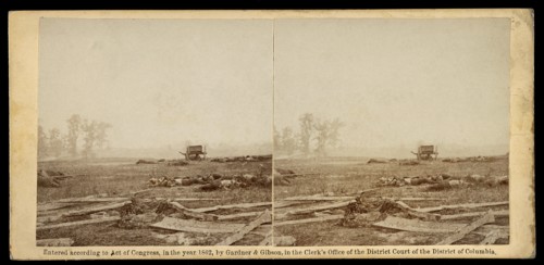 View on Battlefield of Antietam where Sumner's Corps Charged the Enemy, Scene of Terrific Conflict, Stereo Card, Alexander Gardner, Gardner & Gibson, 1862