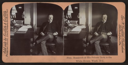 President Theodore Roosevelt at his Private Desk in the White House, Washington DC, USA, Stereo Card, George W. Griffith, Publisher, 1903