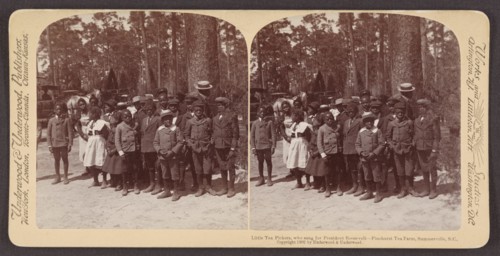Little Tea Pickers who Sang for President Theodore Roosevelt, Pinehurst Tea Farm, Summerville, South Carolina, USA, Stereo Card, Underwood & Underwood, 1902