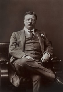 U.S. President Theodore Roosevelt, Seated Portrait, Washington DC, USA, by Barnett McFee Clinedinst, 1906