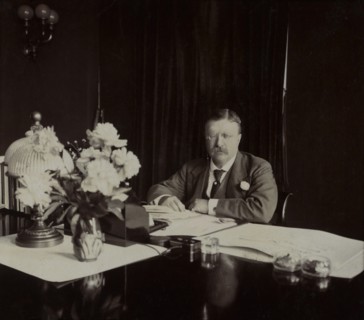 U.S. President Theodore Roosevelt, Seated Portrait at Desk, Washington DC, USA, by Fred H. White, 1907