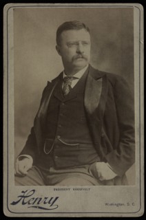 U.S. President Theodore Roosevelt, Seated Portrait by Henry, Washington DC, USA, early 1900's