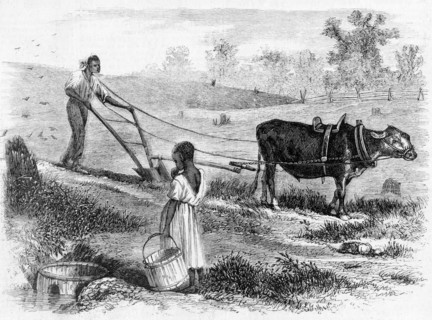 Plowing in South Carolina, Engraving from a Sketch by Jas. E. Taylor, Frank Leslie's Illustration Newspaper, 1866