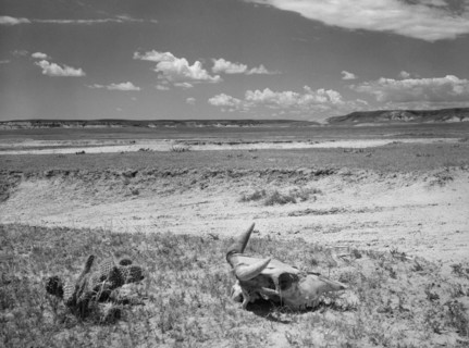 Overgrazed Land, Pennington County, South Dakota, USA, Arthur Rothstein, Farm Security Administration, May 1936