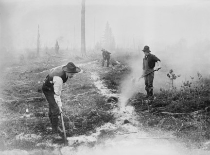 Fighting Forest Fire, South Dakota, USA, Bain News Service, 1910's