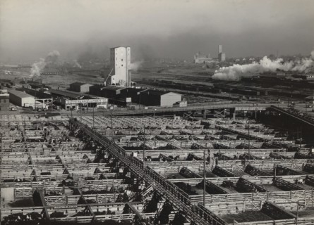 Stockyards, South Omaha, Nebraska, USA, John Vachon, Farm Security Administration, November 1938