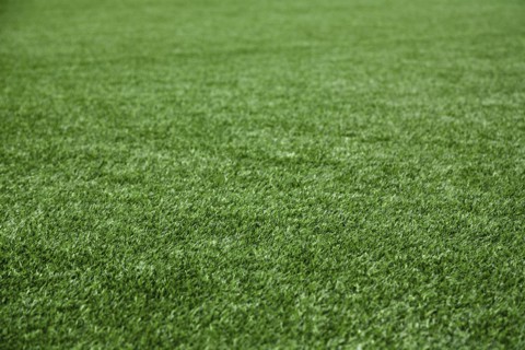 Green Astro Turf