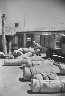 Bedrolls used in the Roundup, Quarter Circle U Ranch, Big Horn County, Montana, USA, Arthur Rothstein, Farm Security Administration, June 1939