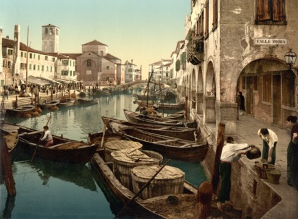 Fish Market, Chioggia, Venice, Italy, Photochrome Print, Detroit Publishing Company, 1900