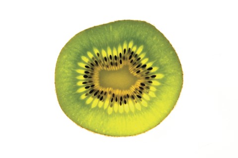 Kiwi Slice Close-up