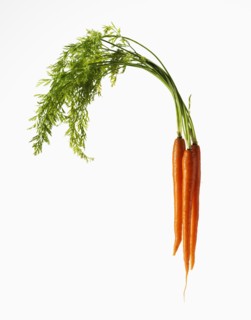 Three Raw Carrots on White Background