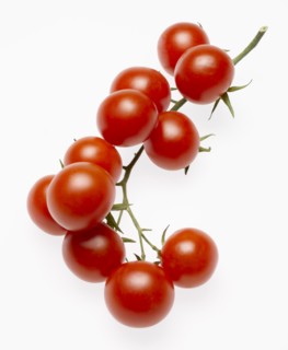 Stem of Several Cherry Tomatoes on Vine