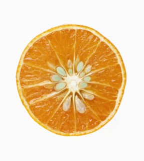 Fresh Orange Sliced in Half