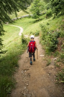 Boy Hiking Down Trail with Walking Stick, Rear View