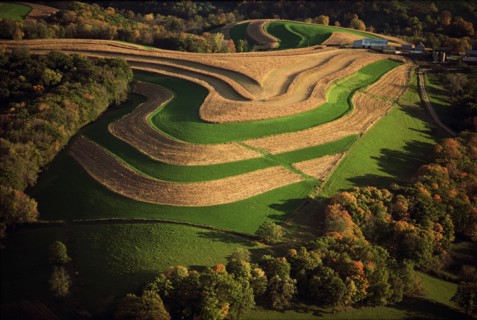 Sculpted Wheat Fields, High Angle View