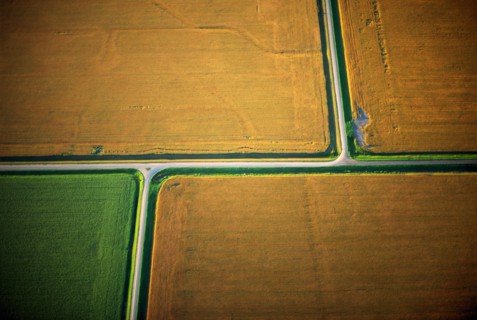 Tan Fields, High Angle View
