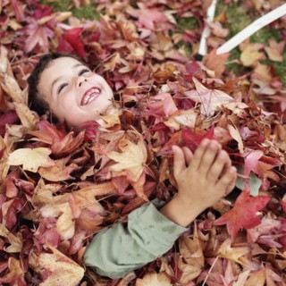 Happy Little Boy Playing in Leaves