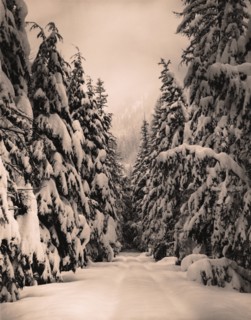 Snow Covered Road