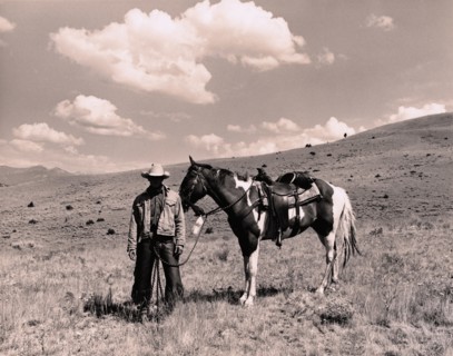 Cowboy and Horse