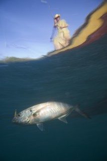 Underwater View of Man Catching Fish