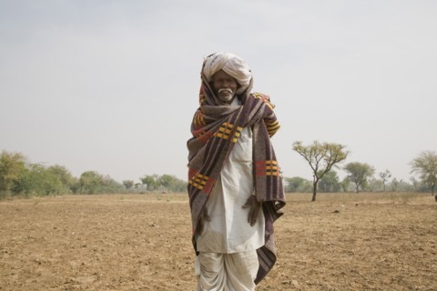 Older Indian Man in Field