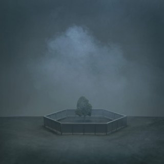 Miniature Tree Surrounded by Hexagon Fence