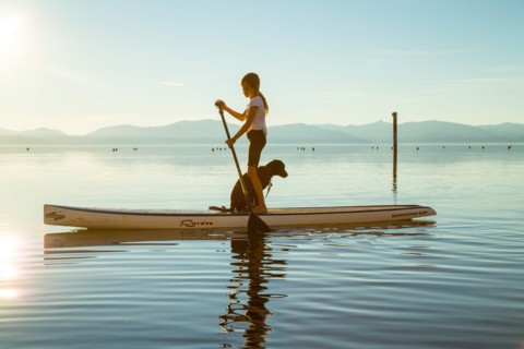 Young Girl and Dog on Paddle Board, Lake Tahoe, Nevada, USA