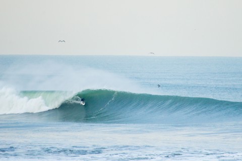 Surfer in Wetsuit Riding Wave, San Francisco, California, USA