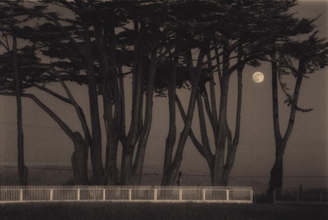 Twilight and Reverie