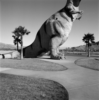T-Rex