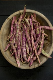 Pinto Bean Pods