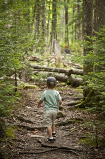 Young Boy Hiking on Path in Woods, Rear View