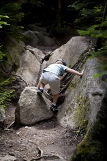 Young Boy Climbing Rocky Path in Woods, Rear View