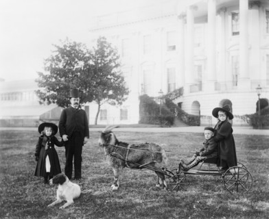 Major Russell Harrison, son of U.S. President Benjamin Harrison, with his daughter Marthena and nephew and niece (Benjamin "Baby" and Mary McKee) on a cart pulled by the presidential pet goat "Whisker...