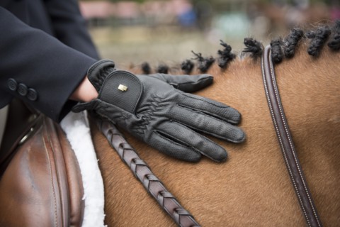 Competitive Rider with Hand on Horse's Mane