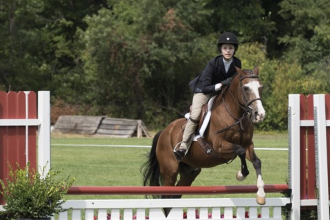 Teenage Girl Competitive Rider on Horse Jumping at Show