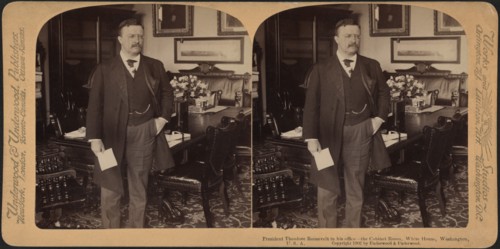 President Theodore Roosevelt in his office, the Cabinet Room, White House, Washington, USA, Stereo Card, Underwood & Underwood, 1902