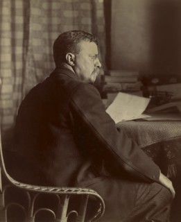 Theodore Roosevelt (1858-1919) 26th President of the United States 1901-09, Three-Quarter Length Portrait, Photograph by Arthur Hewitt, June 7, 1901