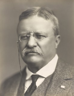 Theodore Roosevelt (1858-1919), 26th President of the United States 1901-09, Head and Shoulders Portrait, Baker's Art Gallery, 1918