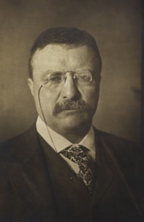 Theodore Roosevelt (1858-1919), 26th President of the United States 1901-09, Head and Shoulders Portrait, 1904