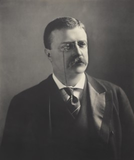 Theodore Roosevelt (1858-1919), 26th President of the United States 1901-09, Head and Shoulders Portrait, Photograph by M.P. Rice, 1902