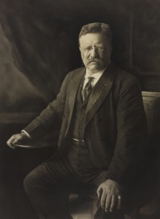 Theodore Roosevelt (1858-1919), 26th President of the United States 1901-09, Three-Quarter Length Portrait, 1910