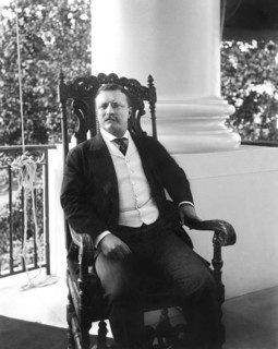 Theodore Roosevelt (1858-1919), 26th President of the United States 1901-09, Three-quarter Length Seated Portrait on Porch, Photograph by Conrad M. Gilbert, April 1904