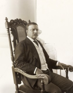Theodore Roosevelt (1858-1919), 26th President of the United States 1901-09, Three-quarter Length Seated Portrait on Porch, Photograph by Conrad M. Gilbert, April 1904