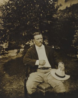 Theodore Roosevelt (1858-1919), 26th President of the United States 1901-09, Three-quarter Length Seated Portrait Outdoor, July 1903