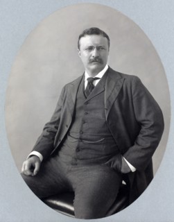 Theodore Roosevelt (1858-1919), 26th President of the United States 1901-09, Three-quarter Length Seated Portrait, Photograph by C.M. Bell, 1903