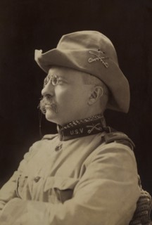 Colonel Theodore Roosevelt, Half-Length Seated Portrait in Military Uniform, Montauk, New York, USA, Photograph by Benjamin J. Falk, October 1898