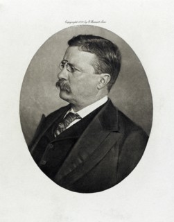 Theodore Roosevelt (1858-1919), 26th President of the United States 1901-09, Head and Shoulders Portrait, Photograph by G. Barrie & Sons, 1906